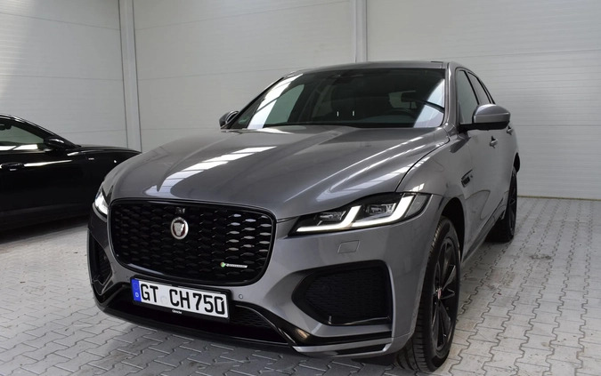 Jaguar F-Pace cena 204900 przebieg: 62000, rok produkcji 2020 z Ryn małe 781